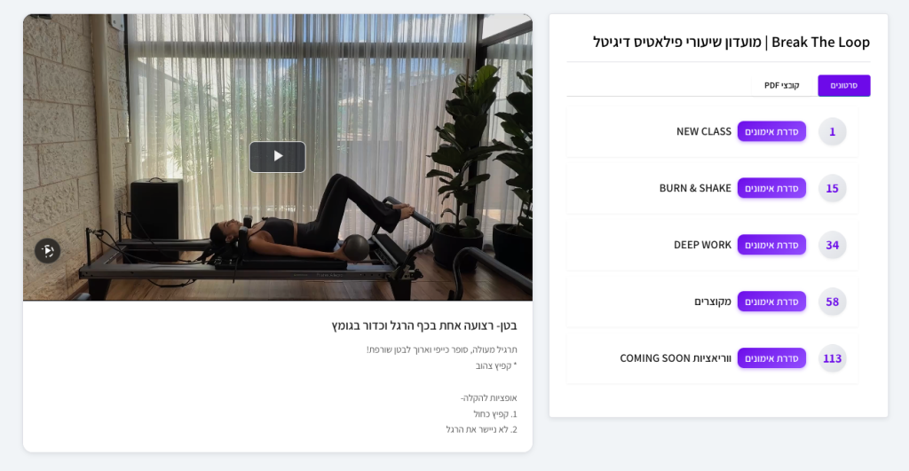 מערכת loop